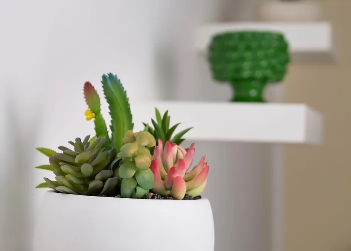 公寓 Casa Fronte Mare A San Saba