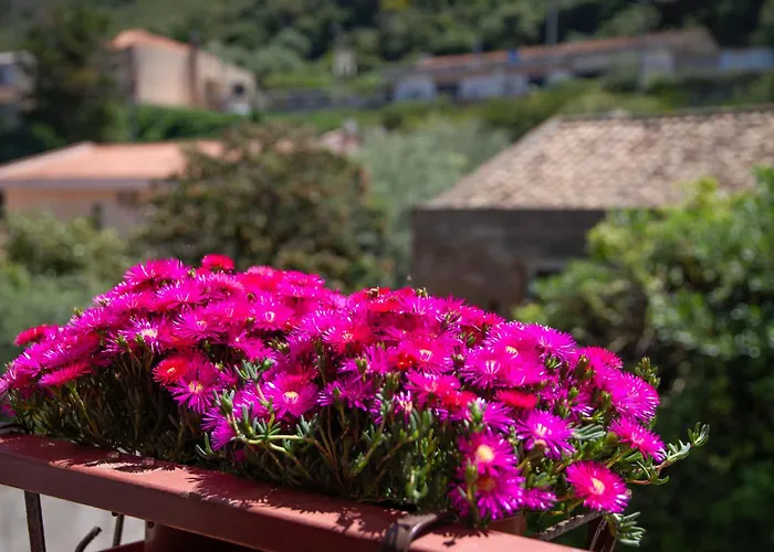 公寓 Casa Fronte Mare A San Saba 墨西拿